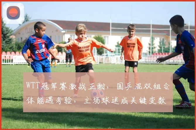 WTT冠军赛激战正酣，国乒混双组合体能遇考验，主场球迷成关键变数