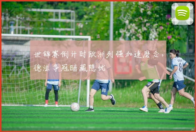 世锦赛倒计时欧洲列强加速磨合，德法争冠暗藏隐忧