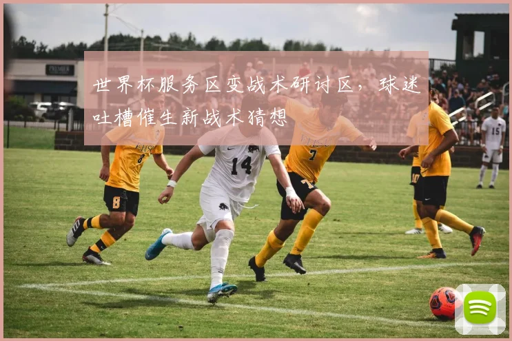 世界杯服务区变战术研讨区，球迷吐槽催生新战术猜想
