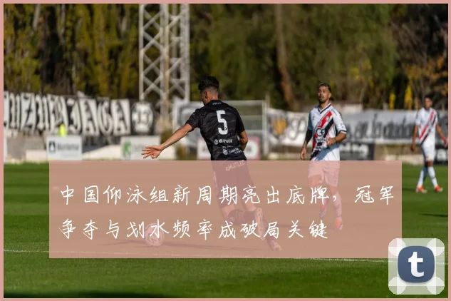中国仰泳组新周期亮出底牌，冠军争夺与划水频率成破局关键