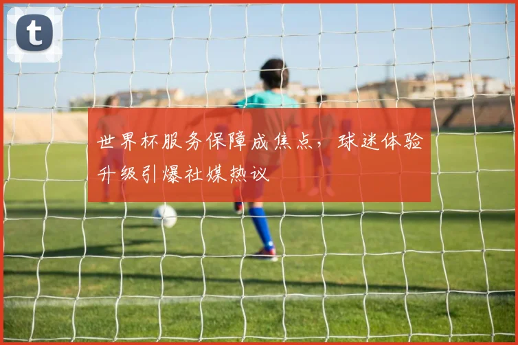世界杯服务保障成焦点，球迷体验升级引爆社媒热议